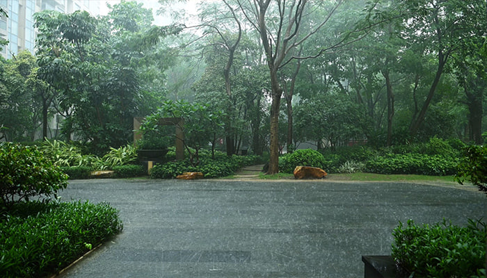 فوتیج باغ در یک روز بارانی همراه با افکت صدا