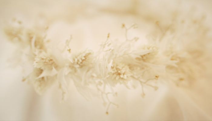 فوتیج تاج گل های خشک شده سفید روی لباس عروس