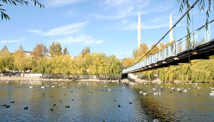 فوتیج پل معلق و اردک ها در رودخانه