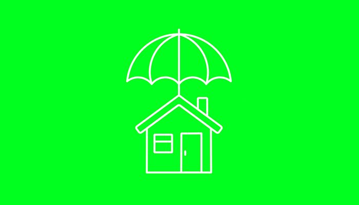 فوتیج پرده سبز نماد خانه مخصوص لوگو