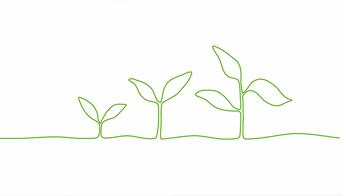 فوتیج موشن گرافی جوانه زنی گیاه به صورت پیوسته 